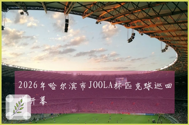 2026年哈尔滨市JOOLA杯匹克球巡回赛开幕