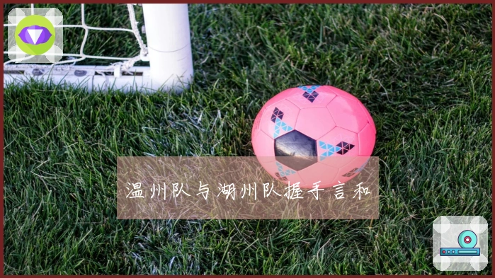 温州队与湖州队握手言和