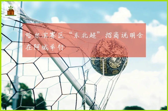 哈尔滨赛区“东北超”招商说明会在阿城举行